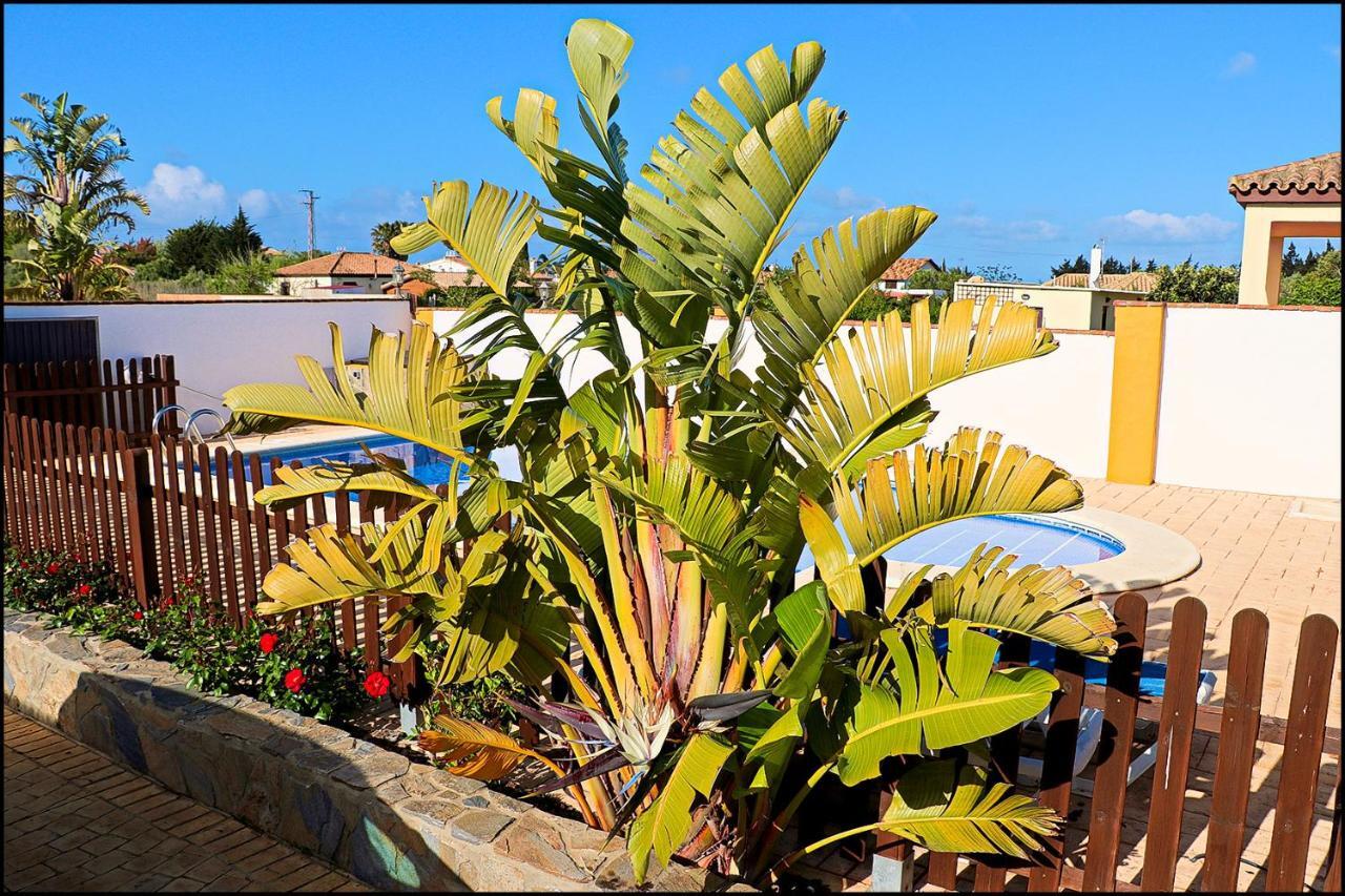 Chalet Con Piscina Privada Conil De La Frontera Buitenkant foto
